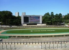 東京競馬場（パドック）サムネイル