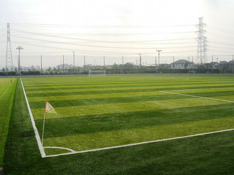 私立大学