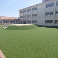 義務教育学校2